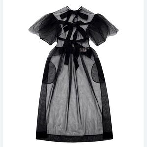 Elegant Black Sheer Dress